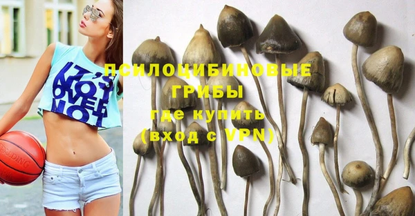 MDMA Беломорск