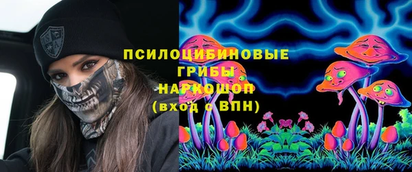 mdpv Белокуриха