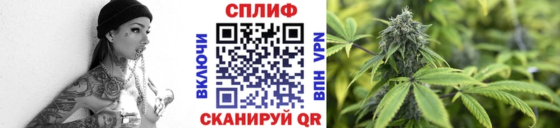 Марихуана Amnesia ссылка на мегу как войти Завитинск